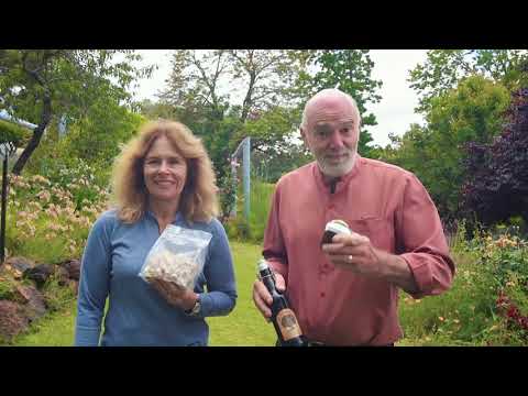 Chestnut Brae Sweet Chestnut Farm Nannup