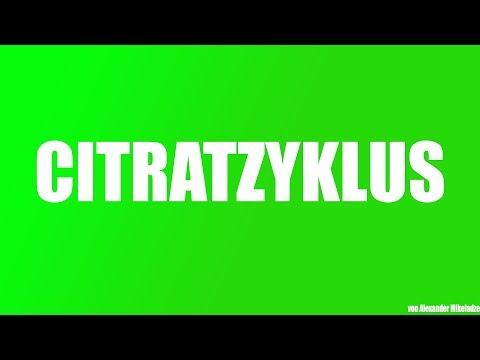 Der Citratzyklus erklärt (Klausurersatz Biologie EF)