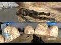 HGP 3 Snipes Sticks And BOOMS