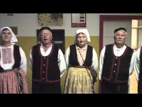 Osnovna škola Poličnik-Prilog o KUD-u "Carza" Poličnik 2013.