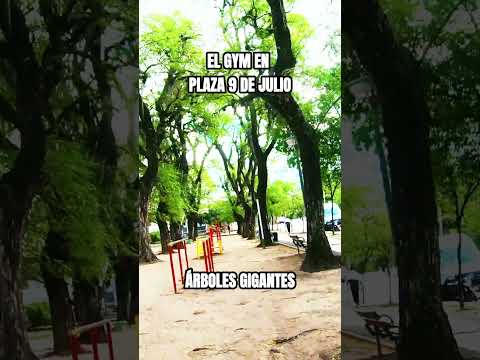¡ENTRE GIGANTES! 🌳💪 Gimnasio en la Plaza 9 de Julio