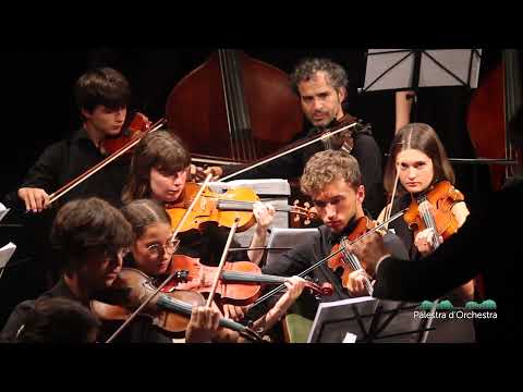 Peter Heidrich, Happy Birthday Variationen - string orchestra
