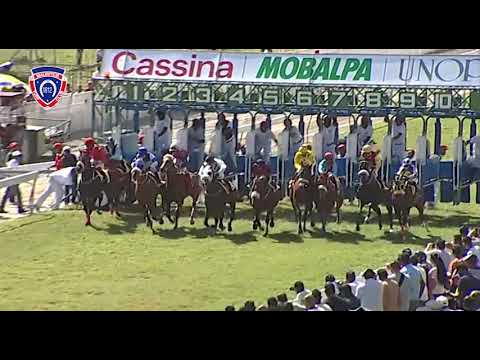 RM35 R4 - Mambo Rock