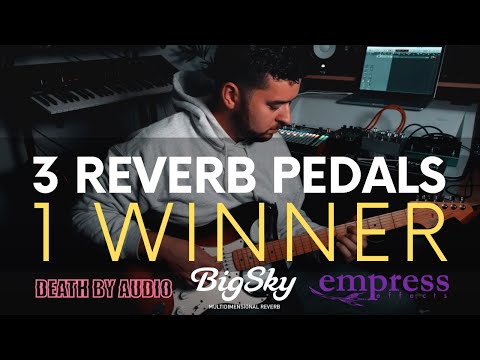Empress Reverb 2010s - Graphic image 8