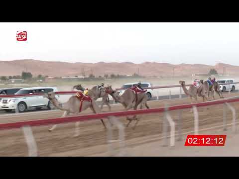 1 alsaad