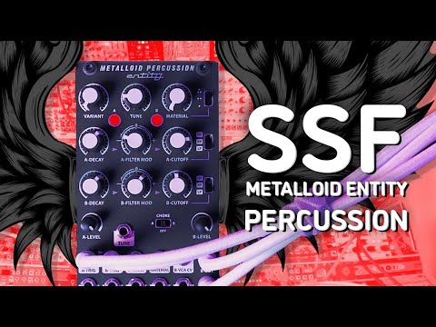 Steady State Fate Metalloid - Analog Metallic Noise Synthesizer Voice 2026 - Black image 3
