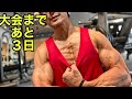 カーボアップ開始！炭水化物でデカくなれ！【筋トレ】【ダイエット】