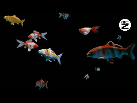 💥 HD Video 3d Hologram Aquarium | 🎼 With Music