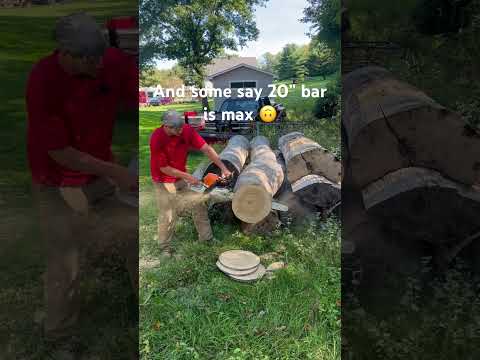 25” Firewood slayer MS400 Stihl #stihl #chainsaw #firewood