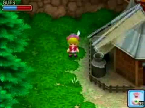 Harvest Moon : Welcome to the Bazaar of Wind Nintendo DS
