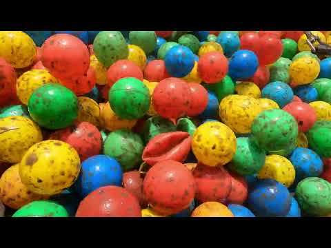 Muddy Bear Challenge 2022