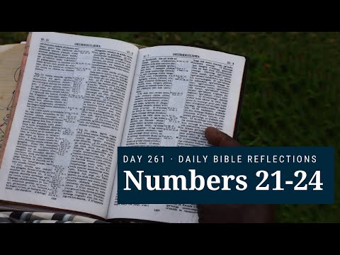 DAY 261 | Numbers 21-24 | The Bible in A Year