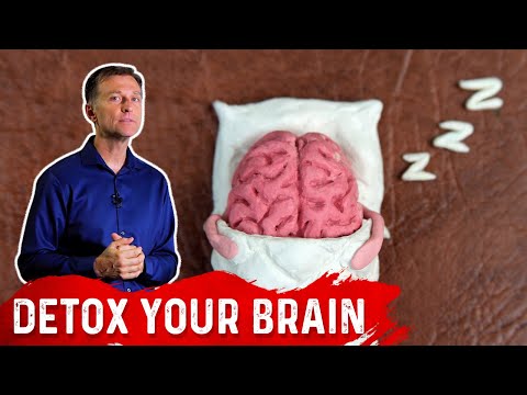 The Mental Health Benefits of Bird Watching