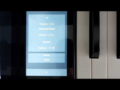 Kawai CA99 Rattling Sound in Speaker