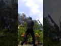 Helfiz Zacherin Martial Art Bruce Lee Kick