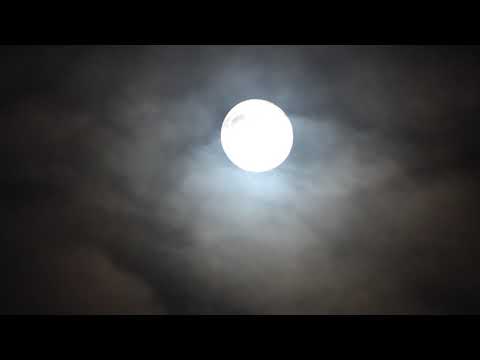 8Dio Score this: Moon - Eric Griffin