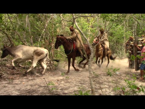 1º Carreira do Boi Filipina, Passa Tempo Coivaras-PI#boinamoita