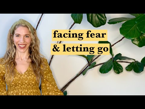 Human Design OPEN SPLEEN CENTER Explained + the fear gates