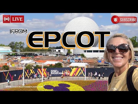 Live webcam of That Crazy Disney Lady