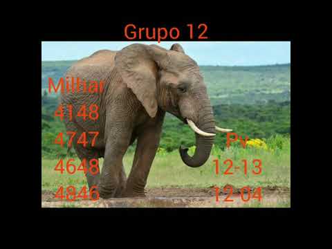 Palpite do Lu 30/10/20 Jogo do bicho