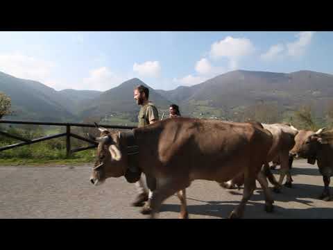 Cà Del Stongia - Andiamo al Pascolo!