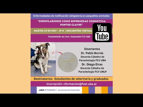 Dirofilariosis como enfermedad zoonótica: puntos clave