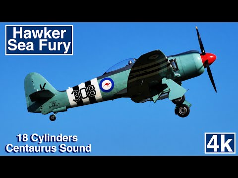Hawker Sea Fury Aerobatics Fast and Loud Propeller Fighter Aircraft 4K