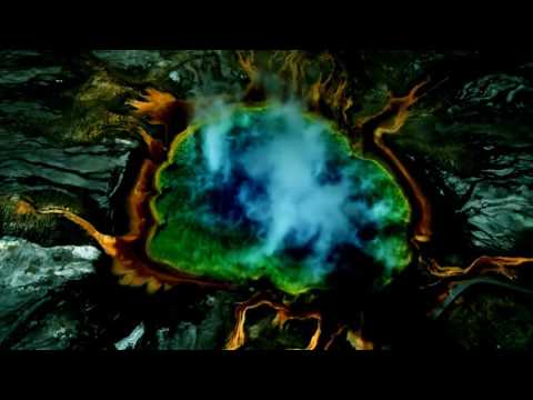 Elemental Child - The Lotus Effect