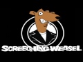 Screeching Weasel "Can't Take It"