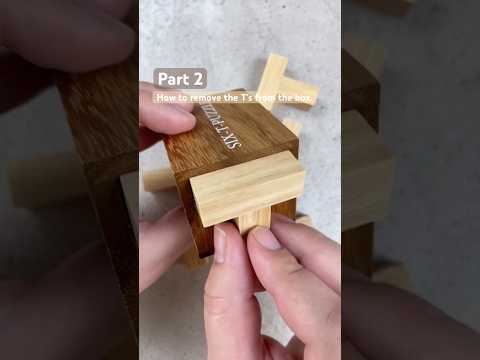 How to remove the T’s from the Six T Puzzle. #puzzles