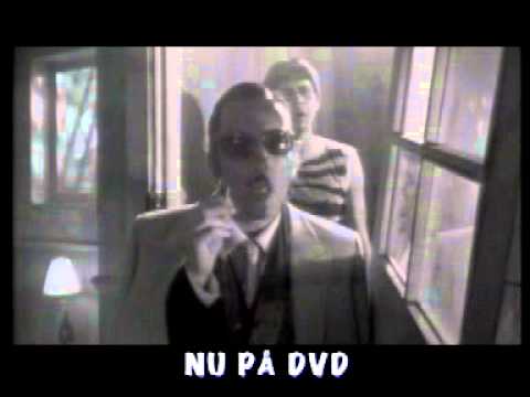 Sonny Soufflé Shock Show & Tonny Toupé Show. Kult  DVD release 2004, TV spot