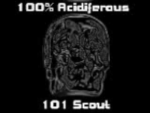 100% Acidiferous - 101 Scout -
