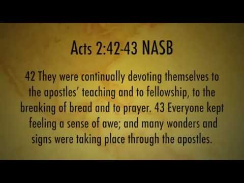 Berean Study Series 2015 - Philip Goad - A Community of Believers