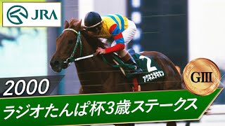 劇場版ウマ娘・新時代の扉』の史実レース元ネタまとめ｜競馬アニメ