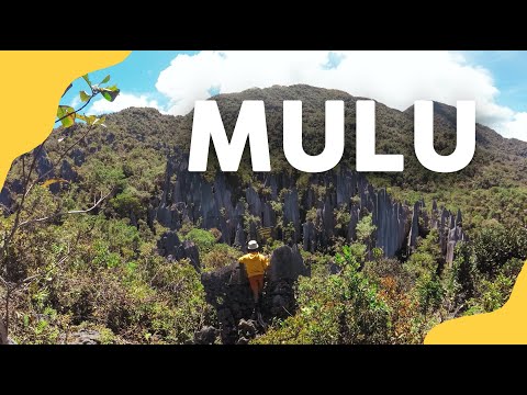 My Adventure in Mulu, Sarawak