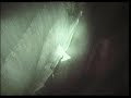 Monstrum Sepsis - Doors & Windows