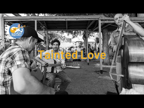 Tainted Love - Robin Nolan at Festival Django Portugal