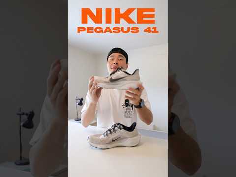 Nike Pegasus 41 Gtx