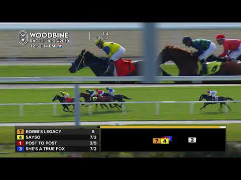 Woodbine: October 26, 2019 - Race 1