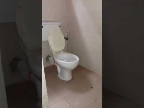 🏡 Self-Contained Apartment – Downstairs | Off Ago Palace