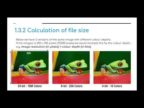 IGCSE Computer Science 2023 25   1 Data Representation   Data Storage and Compression 1 3a