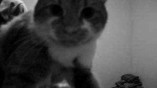 The Thing - Art Star