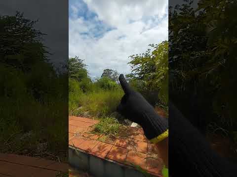 # Antigo Clube do Mané