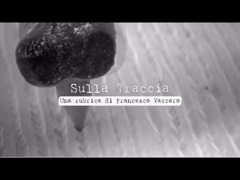 Sulla Traccia - Ep.1 "Sintesi": l'album solista di Alessandro Baris