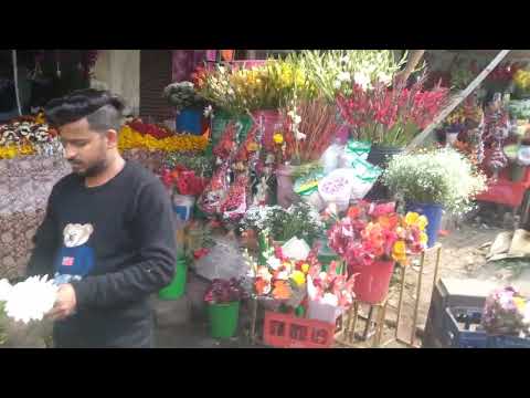 shop,flower,s,munesh raj,