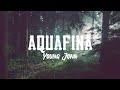 Young Jonn-Aquafina (lyrics)