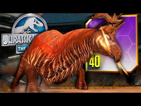 NEW INDRICOCEROS MAX LVL 40 | CENOZOIC HYBRID MAXED! - Jurassic World - The Game | Ep. 297