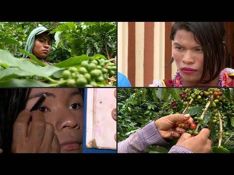 Indígenas trans en Colombia, una vida en fuga entre cafetales | AFP
