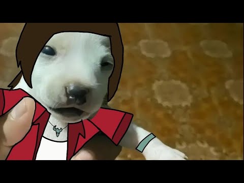 I GOT DEPORTED BY SIX⁉️⁉️🔥🔥🗣️🗣️