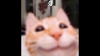 Jojajijoo section 4 leak